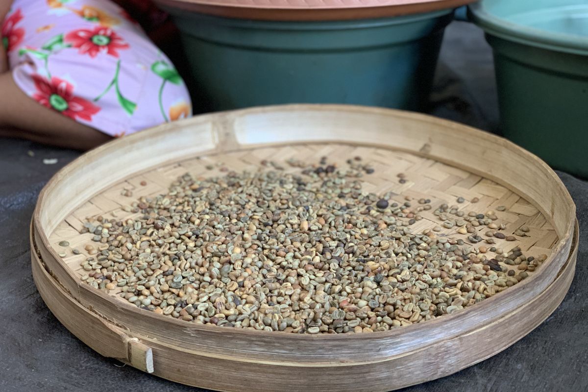 level sortir biji kopi, alur sortir biji kopi, biji kopi defect jadi apa, biji kopi defect digunakan untuk apa, apa itu biji kopi defect, Biji Kopi Dianggap Cacat Setelah Disortir, Lalu Diolah Jadi Apa?