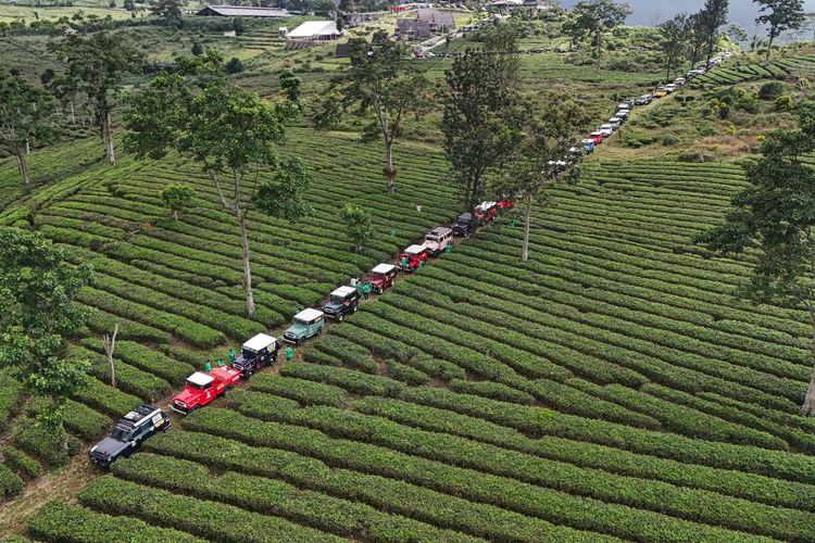 mobil, Toyota Land Cruiser Indonesia, TLCI, Komunitas mobil, Ratusan Mobil Toyota Land Cruiser Meriahkan Jambore Nasional