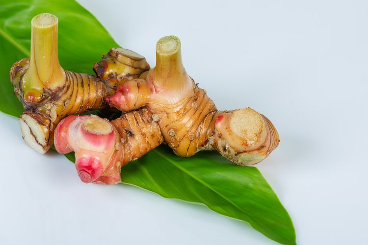 cara racik air rebusan kencur, kencur untuk maag, ramuan herbal maag, rebusan kencur tradisional, Cara Racik Air Rebusan Kencur untuk Atasi Maag Secara Alami