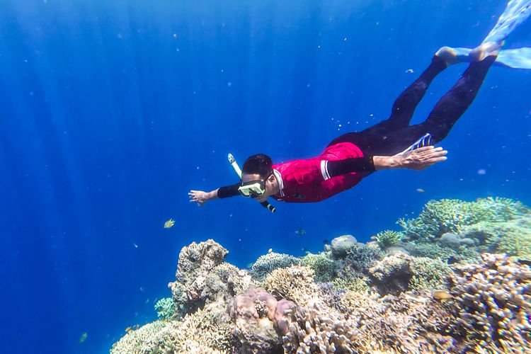 Banyuwangi, island hopping, island hopping Banyuwangi, Island hopping naik yacht di Banyuwangi, Liburan ke Banyuwangi, Jajal Island Hopping Naik Yacht Mewah, Berlayar naik kapal mewah, Pulau Menjangan, Snorkeling Pulau Menjangan, Sore di Pulau Tabuhan, Cara island hopping naik yacht di Banyuwangi
