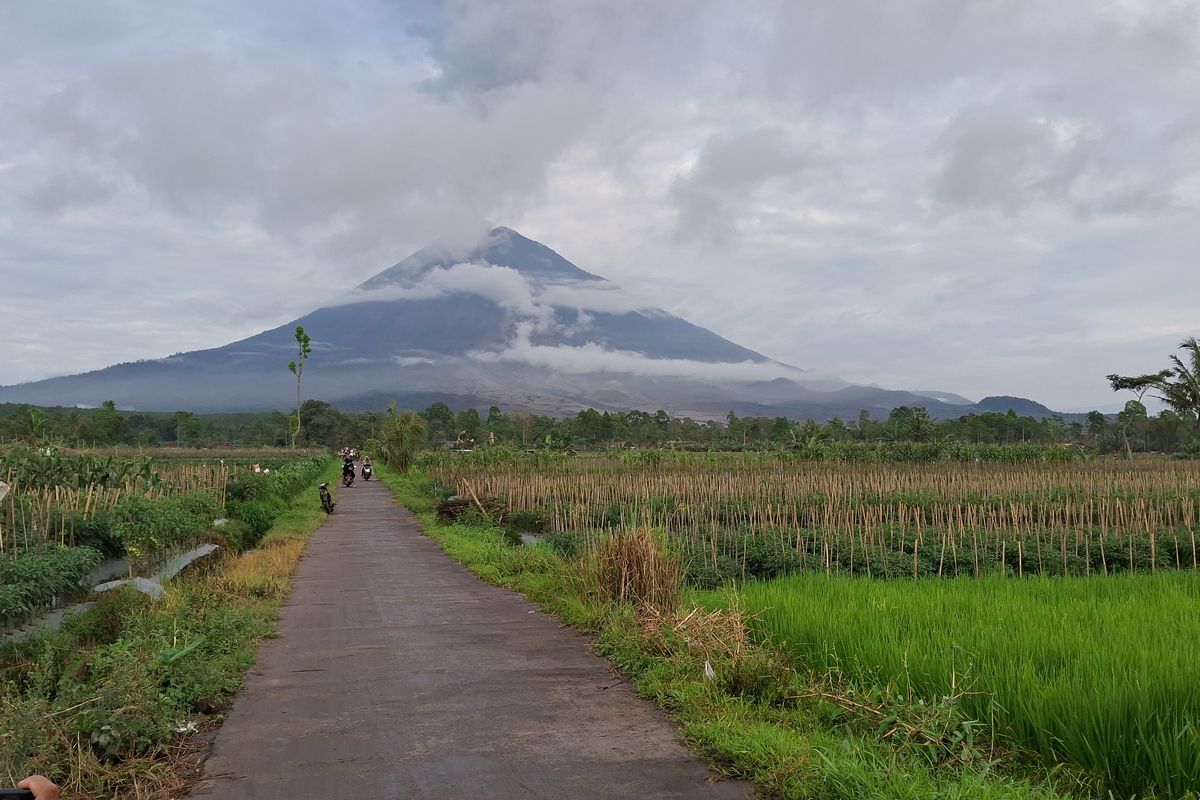 BNPB, Lumajang, Jawa Timur, erupsi Gunung Semeru, BNPB Larang Warga Berwisata di Kawasan Terdampak Erupsi Gunung Semeru