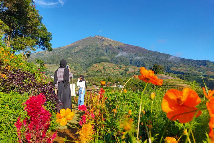 Wisata Magelang, wisata alam magelang, Destinasi wisata Magelang, tempat wisata magelang, 20 Tempat Wisata di Magelang yang Lagi Hits 2025, Wajib Dikunjungi, 1. Candi Borobudur, 2. Museum Jenderal Sudirman, 3. Museum Diponegoro, 4. Museum Wayang, 5. Candi Pawon, 6. Candi Mendut, 7. Museum Karmawibhangga, 8. Candi Selogriyo, 9. Air Terjun Kedung Kayang, 10. Air Terjun Sekarlangit, 11. Silancur Highland, 12. Hutan Pinus Kragilan, 13. Bukit Grenden, 14. Air Terjun Watu Tlatar, 15. Bukit Dagi, 16. Camera House Borobudur, 17. Bukit Rhema, 18. Wisata Getek Balong, 19. Punthuk Mongkrong, 20. Air Terjun Grenjengan Kembar