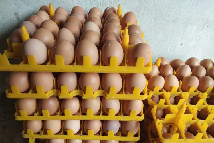 Telur dadar tahu, Tips Telur dadar tahu enak, Cara bikin Telur dadar tahu, Telur dadar tahu warteg, Enggak Kalah dari Warteg, Ini Cara Bikin Telur Dadar Tahu yang Padat dan Gurih, 1. Pilih telur yang tepat, 2. Racik bumbu dengan pas, 3. Pilih tahu yang padat, 4. Teknik memasak yang benar
