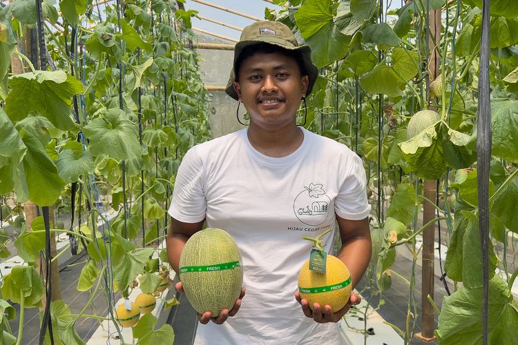 Wonogiri, Melon, Menemukan Melon Renyah, Manis, dan Juicy di Sudut Wonogiri