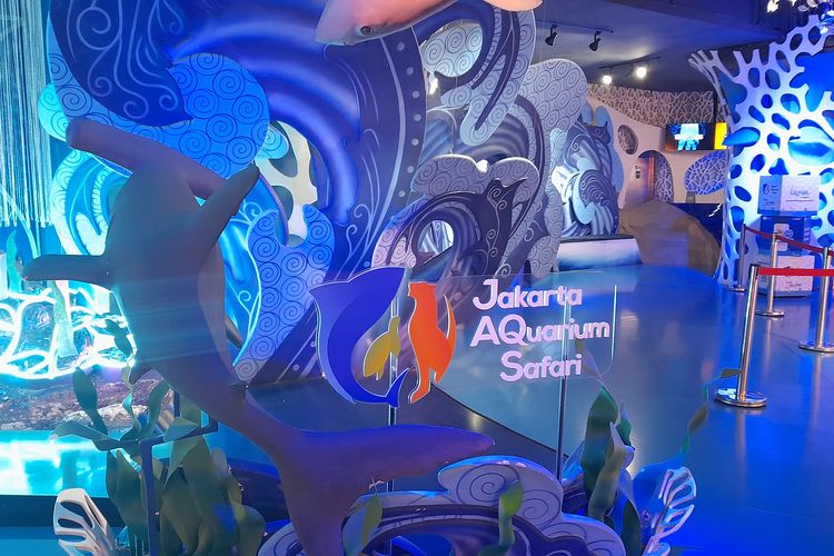 jakarta aquarium dimana, jakarta aquarium tiket, jakarta aquarium safari, jakarta aquarium dan safari, jakarta aquarium dan safari dimana, bayi penguin lahir di jakarta aquarium dan safari, jakarta aquarium di mall mana, 2 Bayi Penguin Humboldt Lahir di Jakarta Aquarium & Safari
