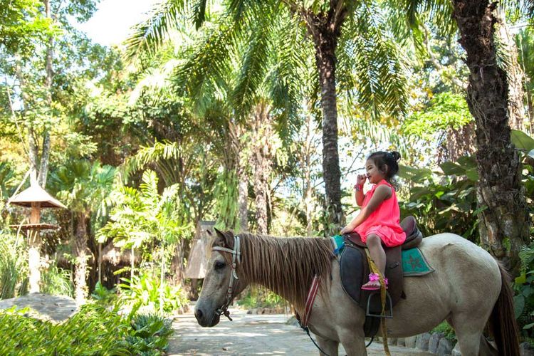 Bali Zoo, wisata Bali, bali zoo, bali zoo dimana, bali zoo buka jam berapa, bali zoo harga tiket, jokowi ke bali zoo, libur lebaran jokowi, jokowi libur lebaran, Jokowi dan Cucu Libur Lebaran ke Bali Zoo, Simak Harga Tiketnya