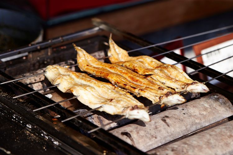 jepang, unagi, belut Jepang, Jepang Akan Jual Unagi Hasil Penangkaran, Harganya Rp 900.000