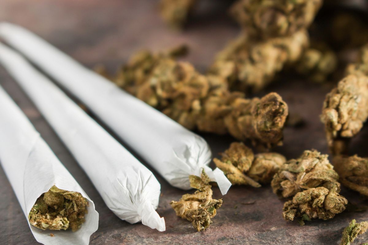 Tegal, ganja, pengedar ganja, Pasutri Jual Gorengan di Tegal Nyambi Edarkan Ganja, Polisi Sita 800 Gram