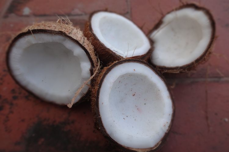 arang, tahun baru, 3 Arang Terbaik untuk Bakaran Malam Tahun Baru, Mana yang Paling Pas?