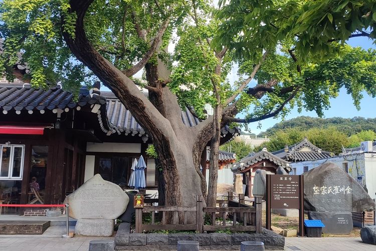 dinasti joseon, wisata sejarah, Jeonju, Kuil Gyeonggijeon, Mengunjungi Kuil Gyeonggijeon Peninggalan Dinasti Joseon di Jeonju