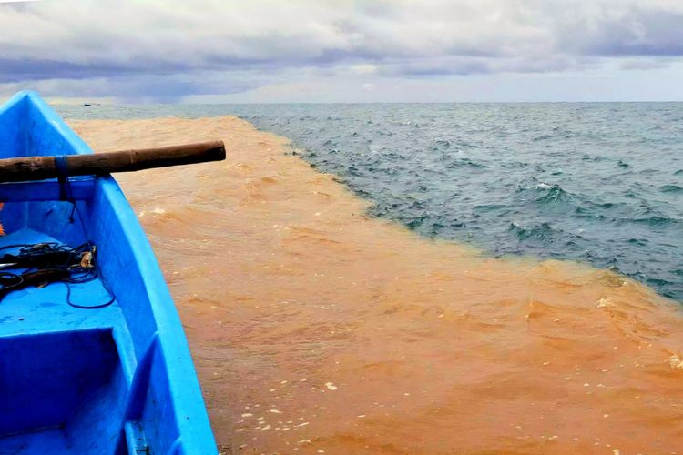 Pantai Baron, yogyakarta, spot terbaik melihat fenomena air laut dua warna, fenomena air laut dua warna di Pantai Baron, Spot Terbaik Melihat Fenomena Air Laut Dua Warna Pantai Baron, Simak!