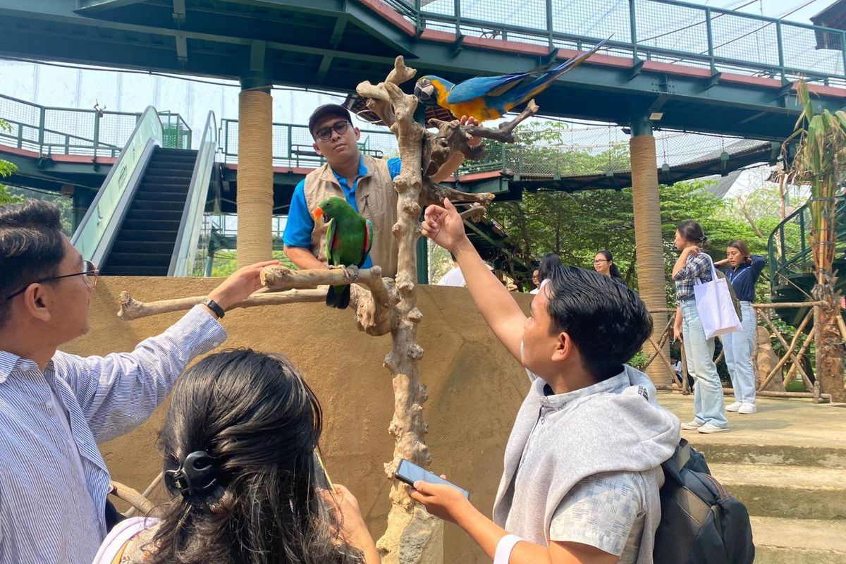 tiket Ancol, Waisak 2025, promo tiket Ancol, Promo tiket Ancol, tiket masuk Ancol, tiket ancol, promo tiket ancol, Promo Tiket Ancol Libur Waisak 2025, Masuk Jakarta Bird Land mulai Rp 36.000