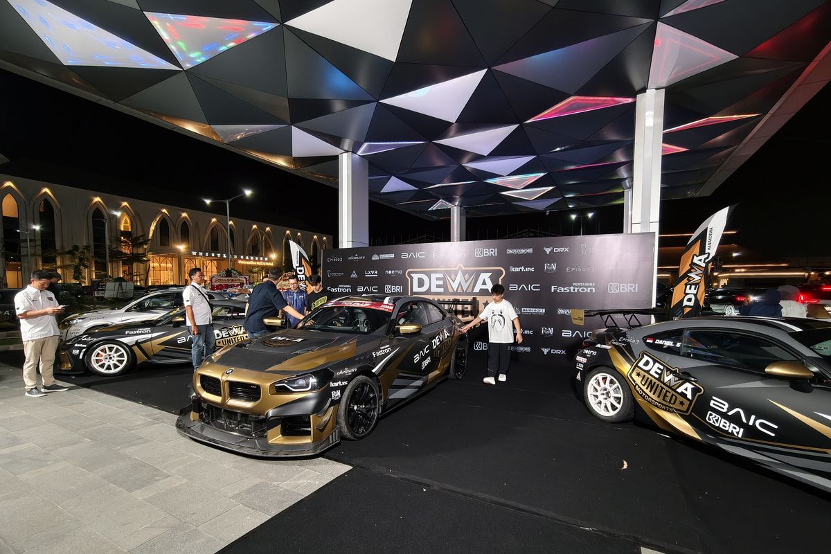 Dewa United Motorsports, Juara Nasional, kancah internasional, Dewa United Motorsports: dari Rally hingga F4