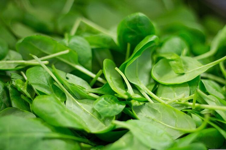 sayur bening bayam, Tips Masak Sayur Bening Bayam Tetap Hijau, Gak Keruh Meski Lama, Kenapa Sayur Bening Bayam Bisa Keruh?, Bahan Sayur Bening Bayam, Cara Membuat Sayur Bening Bayam Hijau Segar, Tips Sayur Bening Bayam Tetap Hijau &amp; Wangi