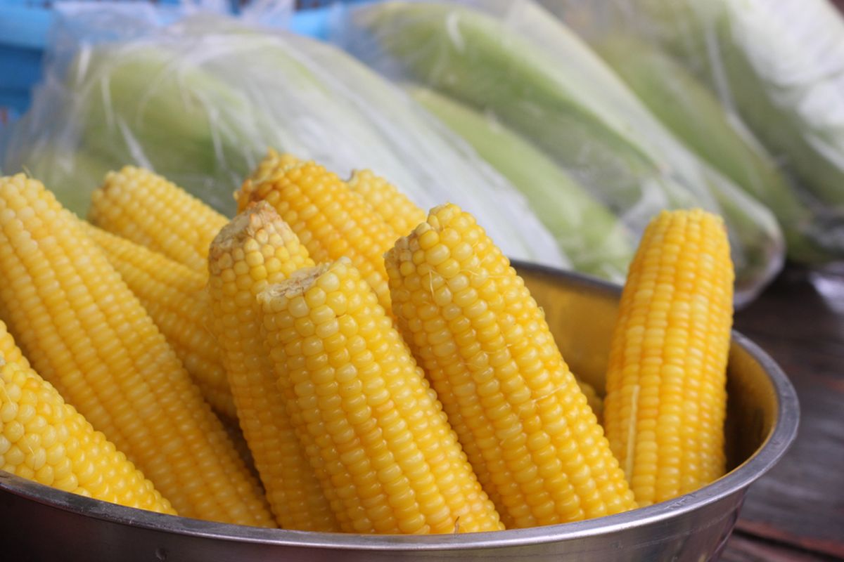 jagung manis, Cara bikin jagung manis, Cara merebus jagung manis, Tips Merebus Jagung Manis Supaya Cepat Empuk dan Tetap Hemat Gas, 1. Kupas kulit jagung terlebih dahulu, 2. Masukkan jagung setelah air mendidih, 3. Gunakan panci besar, 4. Perhatikan durasi perebusan