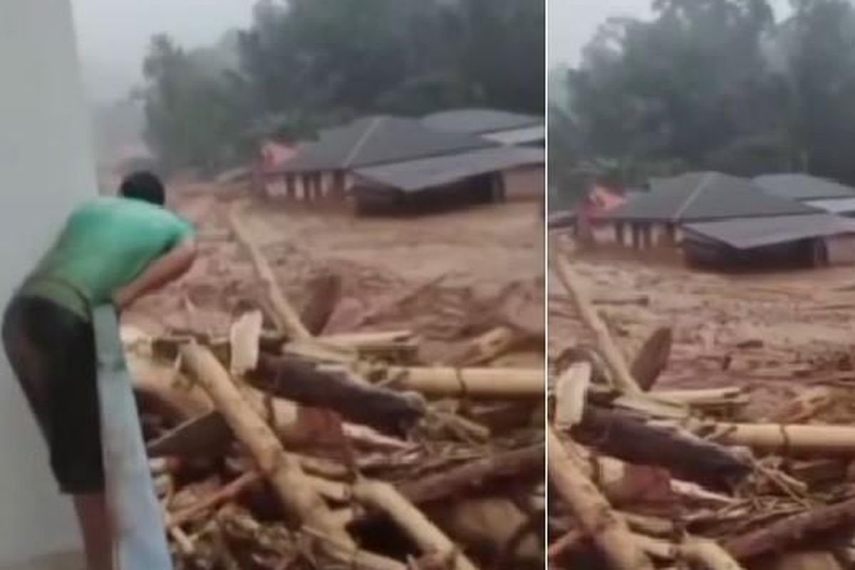 Walhi, banjir, kayu gelondongan, Banjir Sumut, banjir di tapanuli raya, Viral Video Kayu Gelondongan Terbawa Arus Banjir, Walhi Soroti Kerusakan Hutan Batang Toru