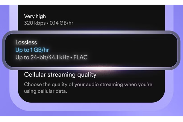 fitur baru, Spotify, spotify premium, streaming musik, spotify lossless, lossless audio, Spotify Akhirnya Dukung Lossless Audio, Musik Jadi Lebih Jernih