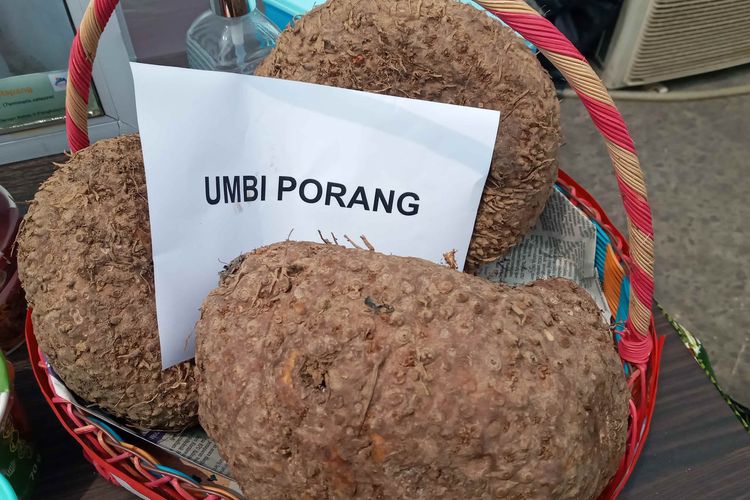 porang, Beras porang, Keunggulan beras porang, Bisa Jadi Pengganti Nasi dari Padi, Ini Keunggulan Beras Porang, Kaya serat, Rendah kalori, Mengandung karbohidrat kompleks, Bebas gluten, Nutrisi lengkap, Peluang ekonomi