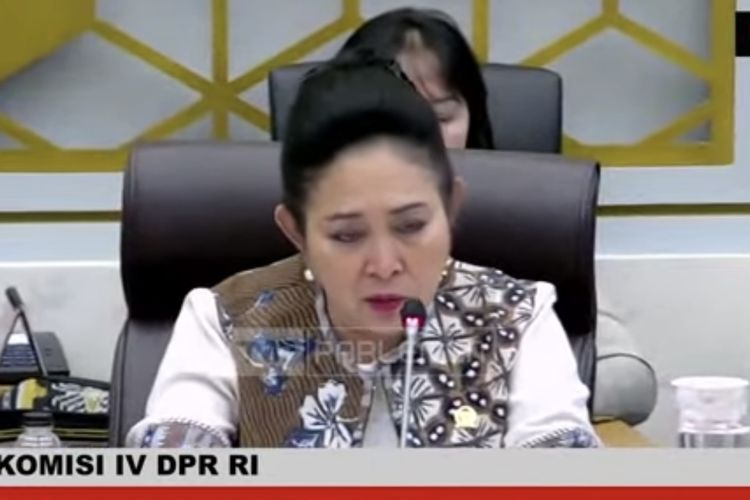 Menteri Pertanian, Mentan, Amran Sulaiman, Kementan, beras oplosan, merek beras oplosan, 26 Merek Akui Mengoplos Beras, Produsen Mulai Tarik Produk dan Sesuaikan Harga