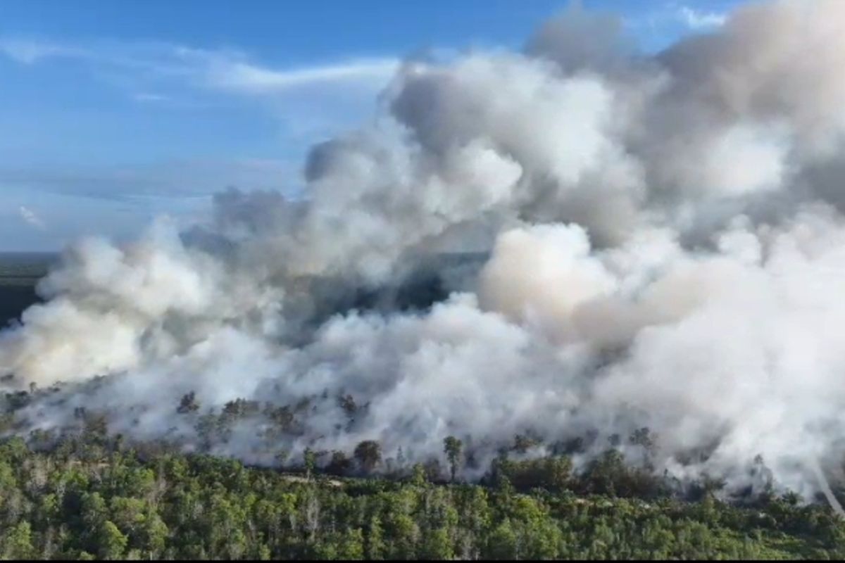 kebakaran hutan dan lahan, BMKG Temukan 143 Hotspot di Riau, Karhutla Mengancam Sejumlah Wilayah, Di Kabupaten Mana Saja Titik Panas Terdeteksi?, Bagaimana Kondisi Jarak Pandang di Riau?, Bagaimana Kondisi Titik Panas di Pulau Sumatra?, Apa Saja Upaya Penanganan Kebakaran Hutan dan Lahan?