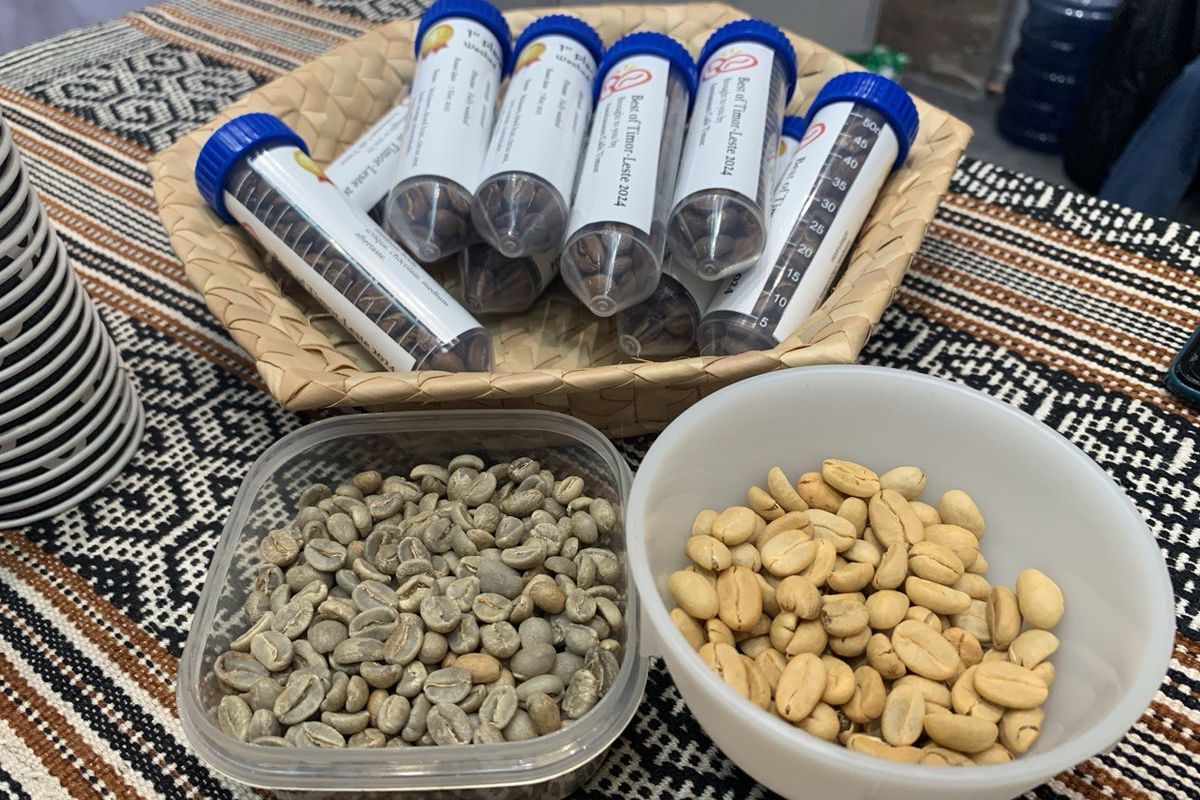 kopi Timor Leste, Proses pascapanen kopi Timor Leste, Kopi Timor Leste, kopi timor leste, karakteristik kopi timor leste, varietas kopi timor leste, proses pascapanen kopi timor leste, jenis kopi timor leste, kopi dari timor leste, Uniknya Kopi Timor Leste, Campuran Arabika dan Robusta