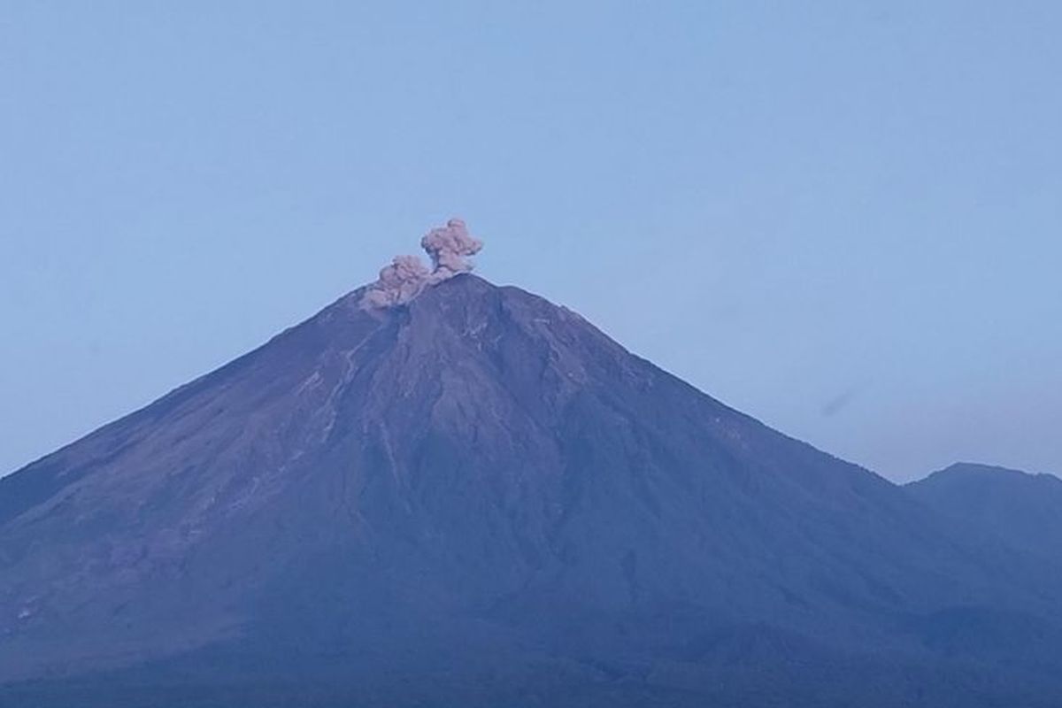 Gunung Semeru, Gunung Semeru Erupsi Lagi, Tinggi Letusan Mencapai 600 Meter