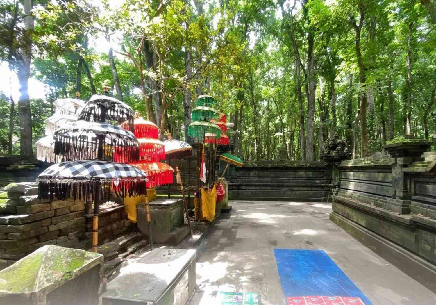 Alas Purwo, Jalajah Alas Purwo: Hutan Tertua, Cerita Kawasan Ghaib, dan Pura Kawitan