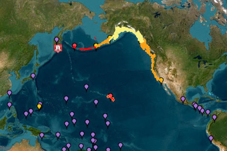 tsunami, BMKG, Tsunami, gempa hari ini, gempa rusia, gempa rusia hari ini, Gempa M 8,7 Guncang Rusia, BMKG Sebut 10 Wilayah Indonesia Waspada Tsunami, 10 Wilayah Indonesia yang Berstatus Waspada Tsunami, Imbauan BMKG: Warga Pesisir Harus Tetap Waspada, Gempa Dangkal, Dipicu Subduksi di Palung Kurile-Kamchatka, Tsunami Bisa Terjadi di Negara Lain, Sudah Terjadi 7 Gempa Susulan