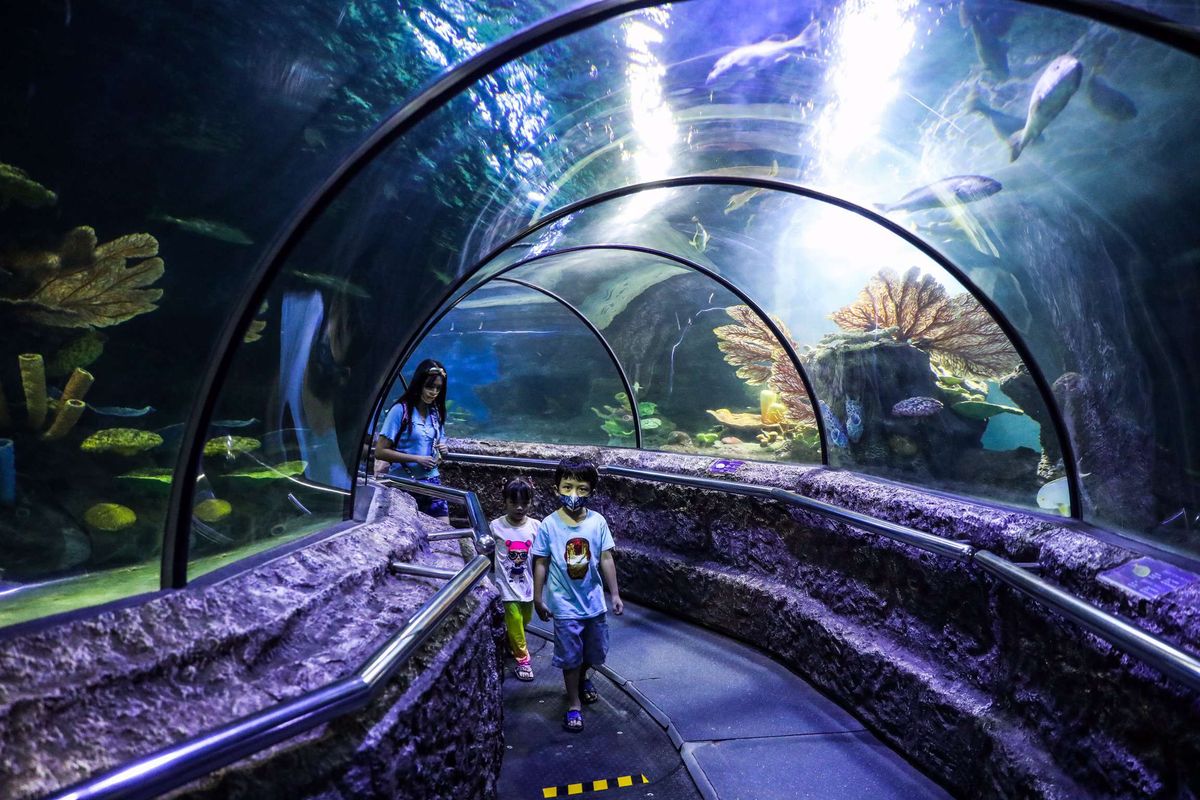 Dufan, Ancol, Sea World, Pembangunan Jaya Ancol, dufan, pembangunan jaya ancol, hari guru nasional 2025, Hari Guru Nasional 2025, Ancol Tebar 2.025 Tiket Gratis untuk Guru