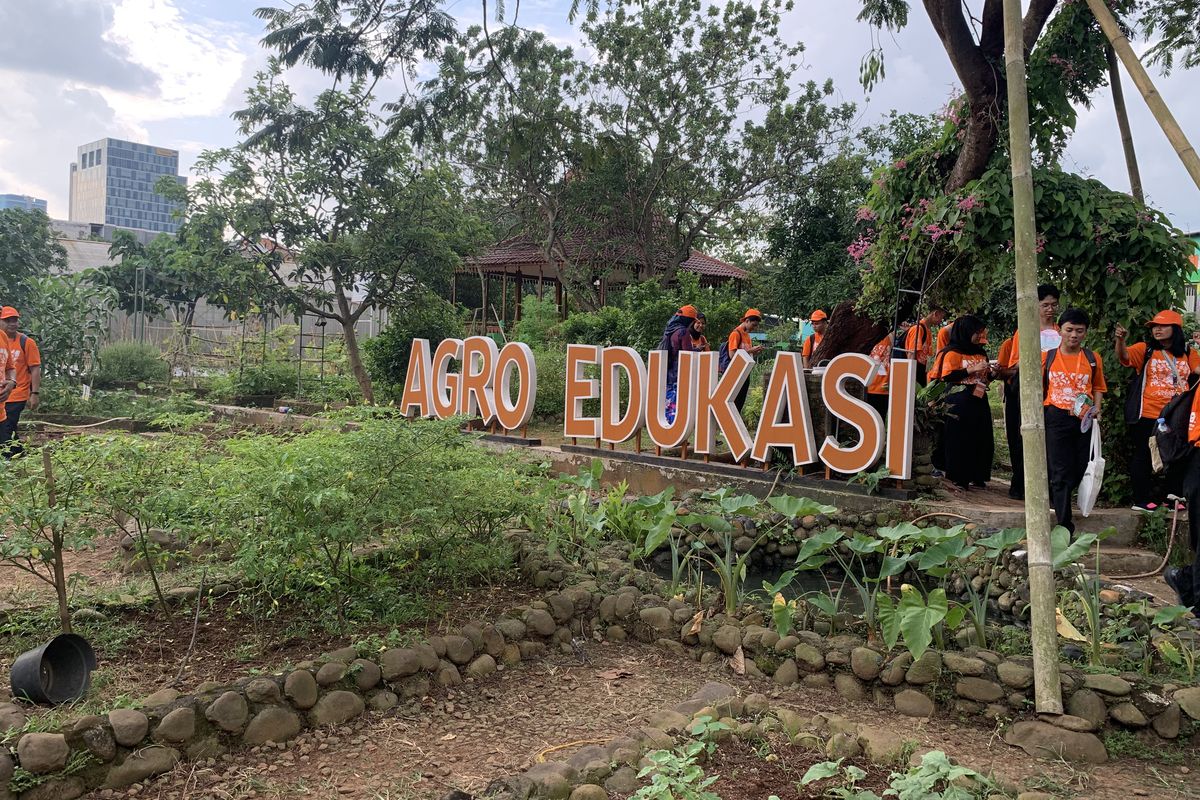 Agro Edukasi Wisata Ragunan, Belajar Bertani di Agro Edukasi Wisata Ragunan Jaksel, Ini Lokasi dan Cara Berkunjung, 1. Belajar memetik buah, 2. Memerah susu sapi, 3. Masuk ke container farming, 4. Membawa pulang bibit tanaman, 5. Belajar pertanian konvensional dan hidroponik