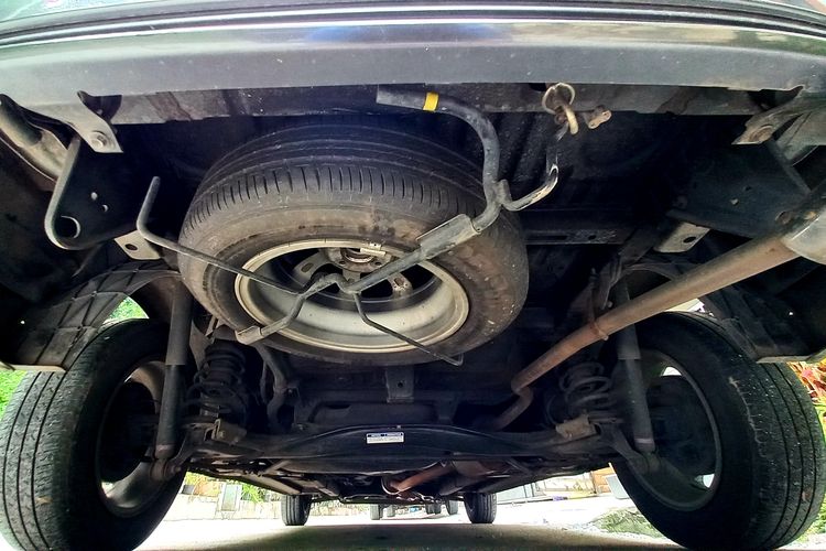kucing, musim hujan, kolong mobil, ruang mesin, kucing sembunyi, kucing di kolong mobil, Kenapa Kucing Suka Sembunyi di Kolong Mobil? Ini Penjelasan Ahli