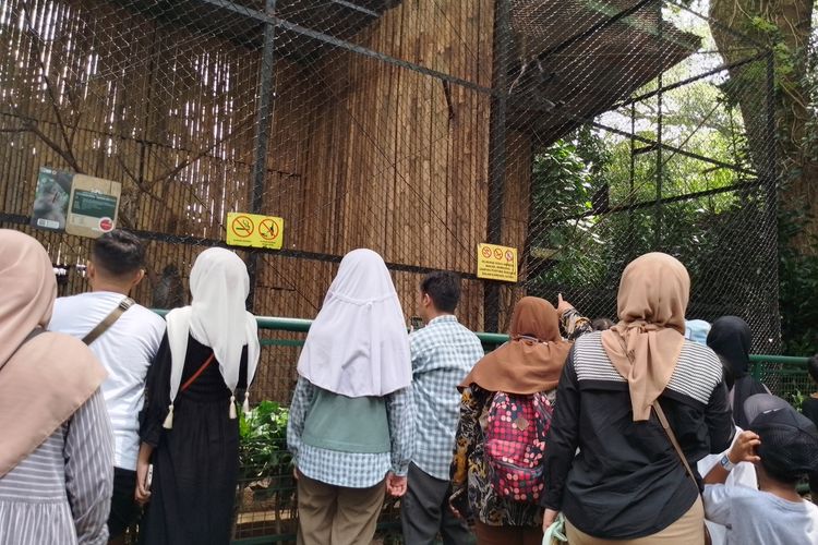 Kebun Binatang Bandung, Bandung Zoo, wisata bandung, bandung zoo, kebun binatang bandung punya siapa, pengelola kebun binatang bandung, kebun binatang bandung dikelola taman safari indonesia, Kebun Binatang Bandung Kini Dikelola Taman Safari Indonesia