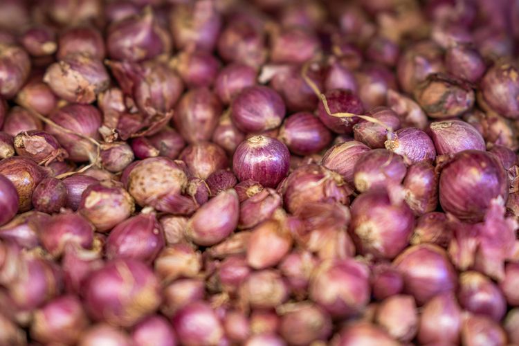 Manfaat bawang merah, manfaat bawang merah, manfaat bawang merah untuk kesehatan, manfaat bawang merah untuk kesehatan tubuh manusia, manfaat bawang merah mentah dimakan, bawang merah besar, manfaat makan bawang merah, manfaat bawang merah untuk obat, 7 Manfaat Bawang Merah untuk Kesehatan, Bisa Hilangkan Jerawat, 1. Menangani kolesterol, 2. Mengurangi risiko penyakit jantung, 3. Mengatasi diabetes, 4. Mencegah penyumbatan sel-sel pembuluh darah, 5. Memperkuat tulang dan persendian, 6. Antiperadangan, 7. Menghilangkan jerawat