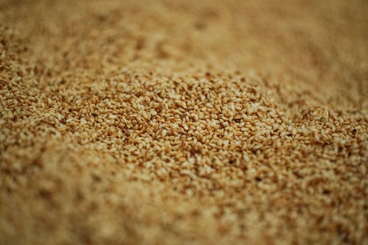 susu, kalsium, 6 Makanan Mengandung Kalsium Lebih Tinggi Bisa Jadi Pengganti Susu