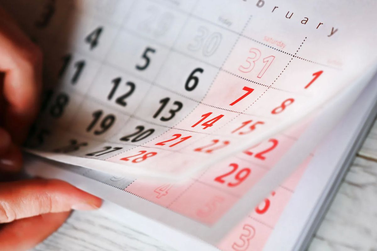 cuti bersama, Januari 2026, 2 Januari 2026 Libur atau Tidak? Cek Kalender dan Daftar Cuti Bersama Resmi