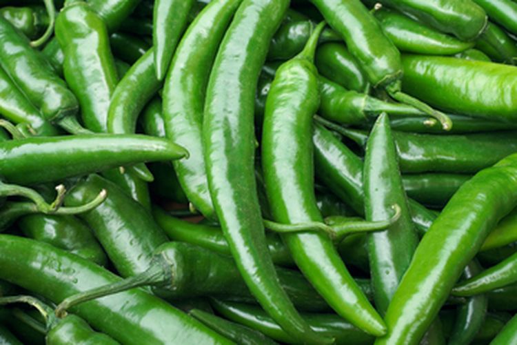 sambal ijo, tips bikin sambal ijo padang, tips sambal ijo enak, Bikin Sambal Ijo Seenak Rumah Makan Padang, Ini 5 Triknya, 1. Pilih cabai hijau segar yang matang, 2. Tambahkan daun jeruk, 3. Masak dengan api sedang, 4. Gunakan perasan jeruk limau, 5. Simpan di kulkas
