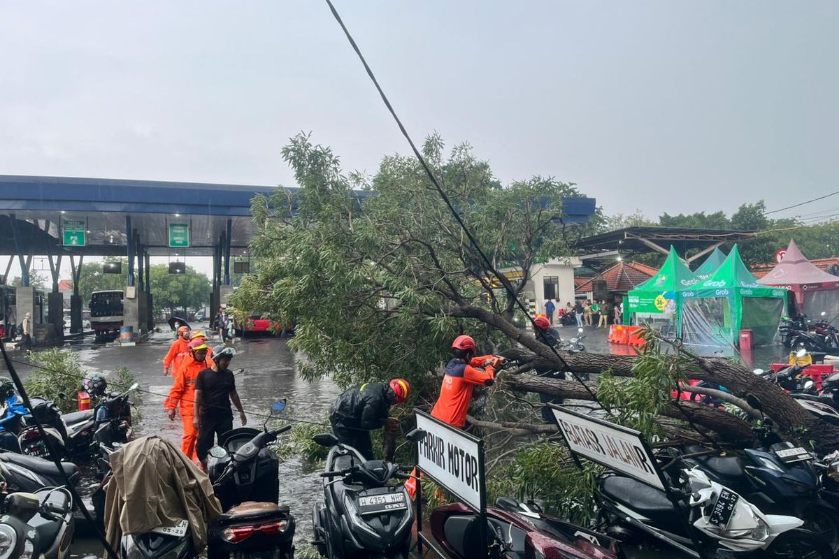 BMKG, cuaca ekstrem, Peringatan Dini BMKG 8 April 2026: Daftar Wilayah Berpotensi Hujan Lebat dan Cuaca Ekstrem