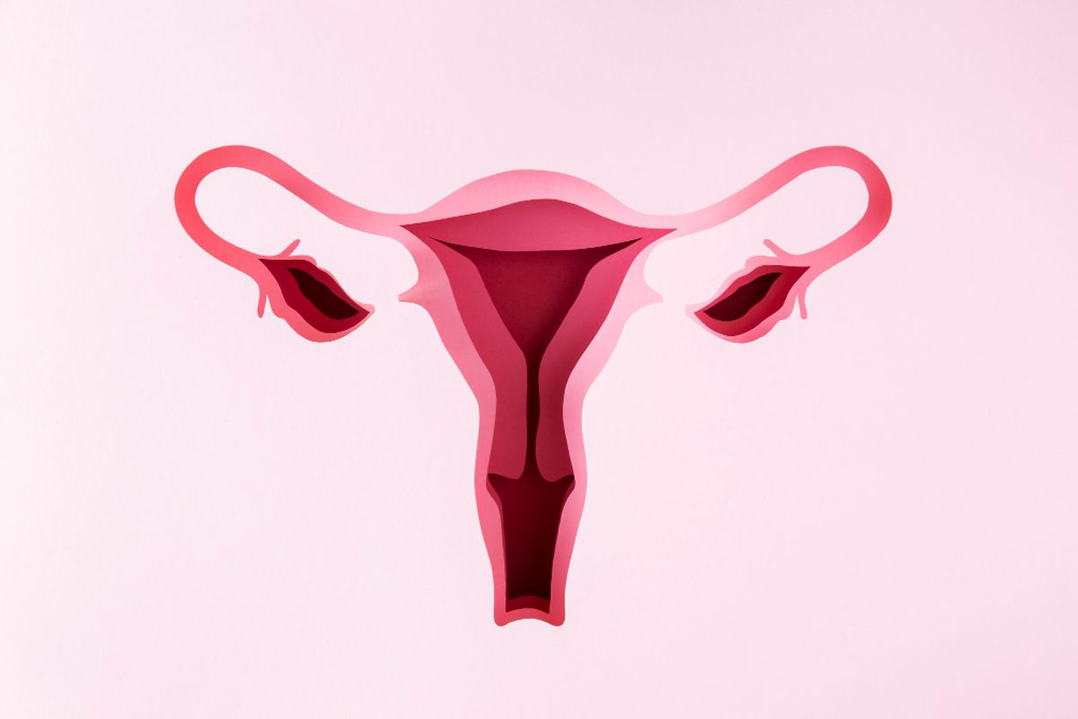 Kanker ovarium, kanker ovarium, Kanker Ovarium, gejala awal kanker ovarium, tanda awal kanker ovarium, gejala kanker ovarium, dokter obgyn, gejala kanker ovarium yang sering diabaikan, 5 Gejala Awal Kanker Ovarium yang Sering Diabaikan Menurut Dokter