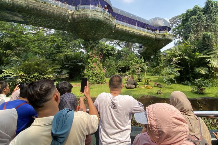Masuk Ancol, Ragunan, hingga TMII Berpeluang Gratis Saat HUT DKI Jakarta 2026