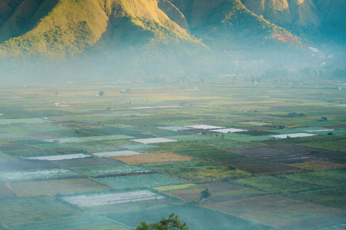 fenomena bediding, Apa Itu Fenomena Bediding? Penyebab Udara Dingin yang Melanda Sejumlah Wilayah di Indonesia
