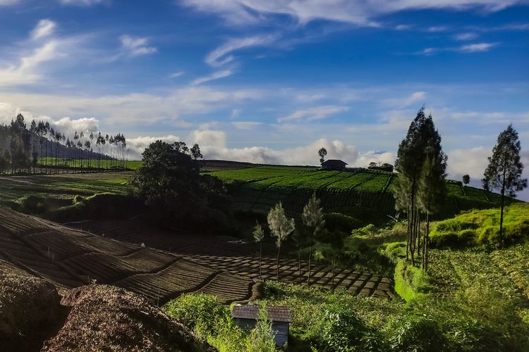 Jawa Barat, destinasi wisata keluarga, Ide 5 Destinasi Wisata Keluarga Saat Libur Sekolah 2026, Wajib Catat, 1. Bogor, cocok untuk aktivitas outdoor   , 2. Bandung, cocok untuk staycation dan wisata kuliner, 3. Yogyakarta, destinasi wisata seni dan budaya, 4. Surabaya, wisata sejarah sampai kuliner, 5. Batu, Malang, kombinasi wisata lengkap