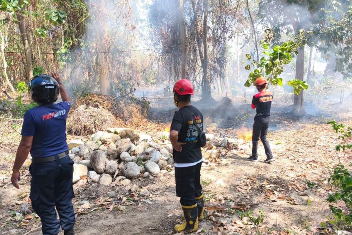 karhutla, Parigi Moutong, Karhutla di Parigi Moutong Capai 21 Hektare, BPBD Sulteng Tetapkan Status Siaga
