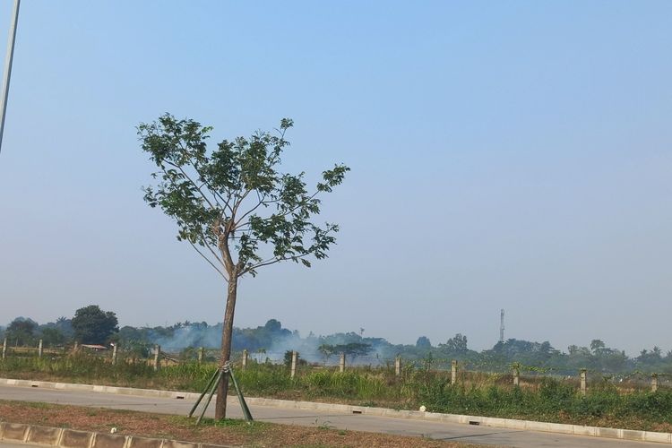 jerami, Bobibos, bahan bakar nabati, Energi Baru, energi baru, bobibos, Bobibos Siap Uji Coba Terbuka: Mobil Baru, 24 Jam, Lalu Bongkar Mesin