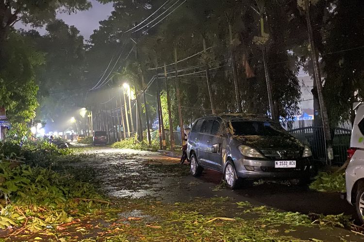 pohon tumbang, hujan deras, angin kencang, Pohon Tumbang Renggut Nyawa di Bandung: Pelajaran Keselamatan Jalan