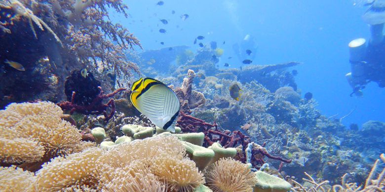 Timor Leste, Wisata Timor Leste, timor leste menjadi anggota asean, Timor Leste Resmi Jadi Anggota ASEAN, Ini Pesona Alamnya yang Menakjubkan, 1. Pulau Atauro: Surga bawah laut di utara Dili, 2. Pulau Jaco: Keindahan tropis yang masih asri, 3. Baucau: Kota tua dengan nuansa Portugis dan pantai eksotis, 4. Taman Nasional Nino Konis Santana: Bentang alam yang luar biasa, 5. Wisata budaya dan sejarah: Jejak kolonial di Timor Leste