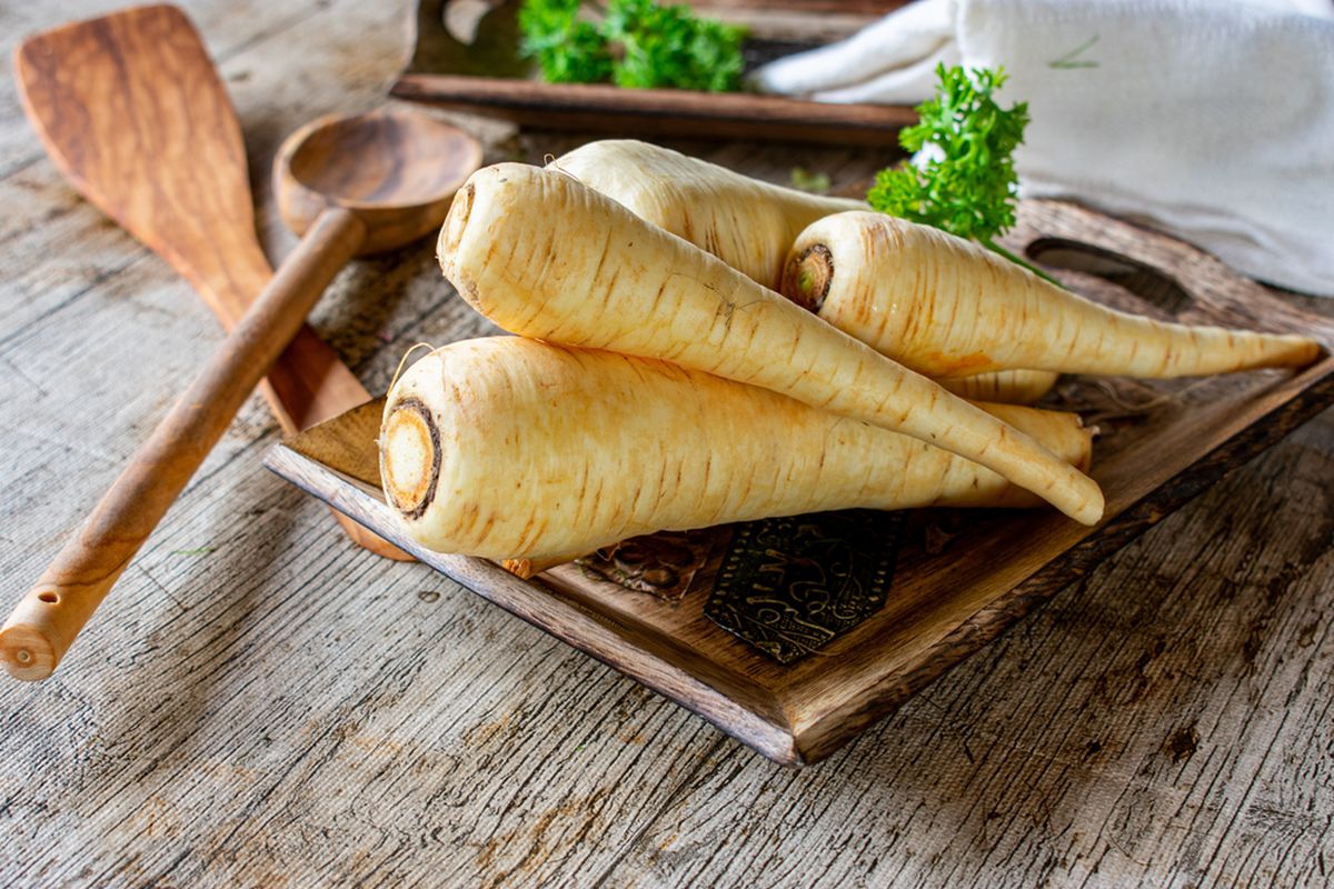 MasterChef Indonesia, parsnip, Apa itu parsnip, Parsnip, parSnip, Masterchef Indonesia, apa itu parsnip, parsnip adalah, masterchef indonesia season 12, parsnip di masterchef indonesia, Parsnip, Bahan Putih yang Kejutkan Peserta MasterChef Indonesia 12