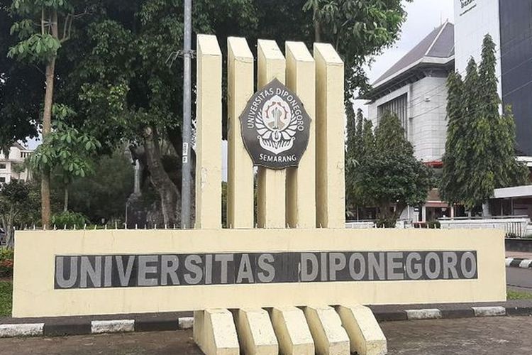 Kampus terbaik, kampus terbaik, kampus terbaik di Indonesia, Unair, Unhas, ITS Surabaya, Unpad, Undip, Universitas Brawijaya, Unika Atma Jaya, Binus, Telkom University, kampus terbaik di indonesia, 10 ptn terbaik di indonesia 2025, 10 pts terbaik di indonesia 2025, 10 kampus terbaik di indonesia 2025, 15 Kampus Terbaik di Indonesia Versi QS Asia University Rangkings 2025, 1. Universitas Indonesia, 2. Universitas Airlangga, 3. Universitas Gadjah Mada, 4. Institut Teknologi Bandung, 5. Institut Pertanian Bogor, 6. Institut Teknologi Sepuluh Nopember, 7. Universitas Diponegoro, 8. Universitas Padjajaran, 9. Universitas Brawijaya, 10. Universitas Bina Nusantara, 11. Universitas Negeri Sebelas Maret, 12. Universitas Hasannudin, 13. Unviersitas Telkom, 14. Universitas Sumatera Utara, 15. Universitas Katolik Indonesia Atma Jaya