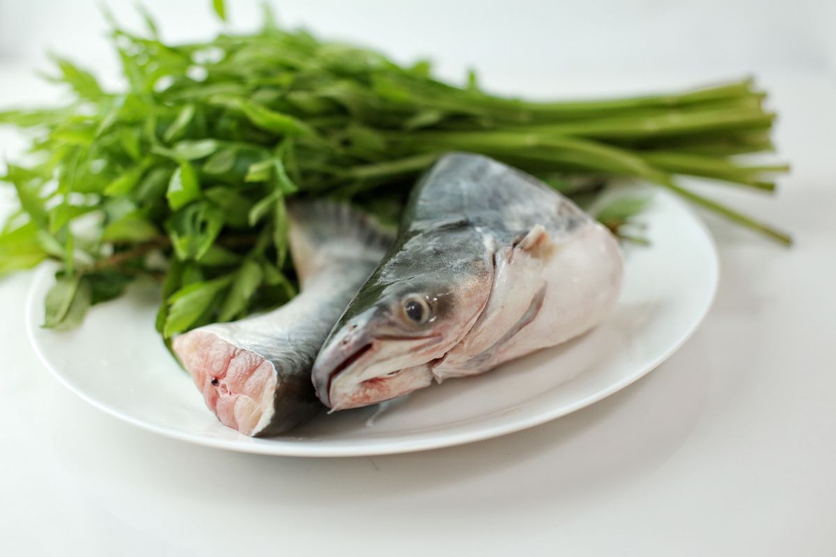 ikan patin, Ikan Patin Suka Hancur Saat Dimasak? Coba 4 Langkah Mudah Ini, 1. Jangan potong terlalu kecil, 2. Jangan dimasak terlalu lama, 3. Gunakan api kecil, 4. Masukkan terakhir dalam masakan berkuah