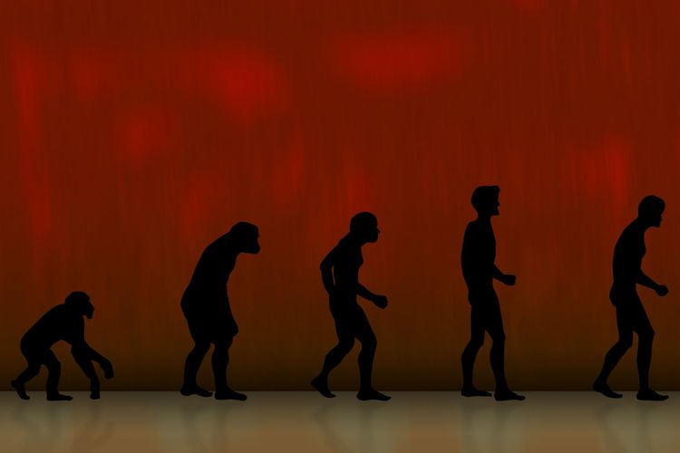 24 november dalam sejarah, teori evolusi Charles Darwin, kalender november 2025, hari ini memperingati apa, hari ini memperingati hari apa, 24 November Memperingati Hari Apa? Ini Momen Penting dan Sejarahnya