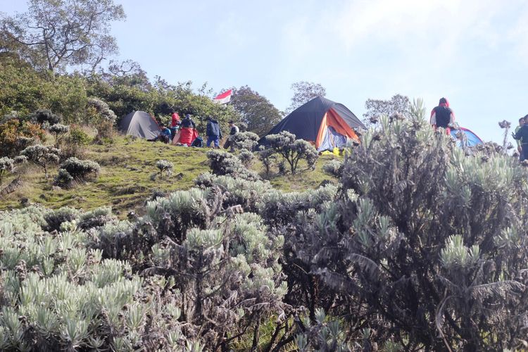 Gunung Gede Pangrango, pendaki ilegal Gunung Gede Pangrango, sanksi mendaki gunung gede pangrango secara ilegal, pendaki ilegal gunung gede pangrango, Mendaki Gunung Gede Pangrango Secara Ilegal, Ini Sanksi yang Menanti
